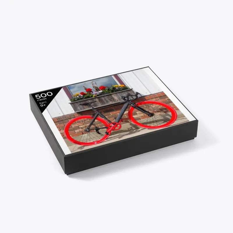 The Track Bike Puzzle